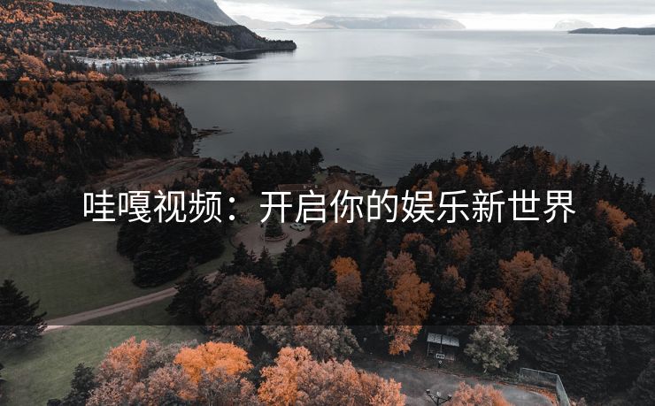 哇嘎视频：开启你的娱乐新世界
