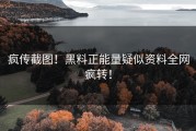 疯传截图！黑料正能量疑似资料全网疯转！