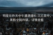 明星在昨天中午遭遇爆料 沉沦其中，黑料全网炸锅，详情查看