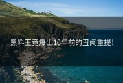 黑料王竟爆出10年前的丑闻重提！
