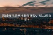 黑料每日居然比狗仔还快，料从哪来的？