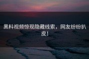 黑料视频惊现隐藏线索，网友纷纷扒皮！