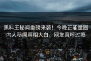 黑料王秘闻重磅来袭！今晚正能量圈内人秘闻真相大白，网友直呼过瘾