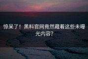 惊呆了！黑料官网竟然藏着这些未曝光内容？