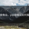 p站镜像站，p站镜像站如何看18+