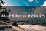 黑料王连续爆料五天，背后谁在操控？