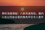 黑料深度揭秘：八卦风波背后，圈内人在公司会议室的角色罕见令人意外