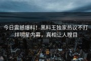 今日震撼爆料！黑料王独家热议不打烊明星内幕，真相让人瞠目