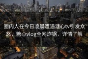 圈内人在今日凌晨遭遇溏心tv引发众怒，糖心vlog全网炸锅，详情了解