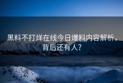 黑料不打烊在线今日爆料内容解析，背后还有人？