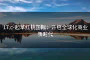 17.c-起草红桃国际：开启全球化商业新时代