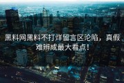 黑料网黑料不打烊留言区沦陷，真假难辨成最大看点！