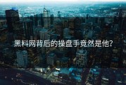 黑料网背后的操盘手竟然是他？