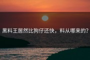 黑料王居然比狗仔还快，料从哪来的？