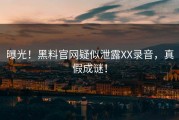 曝光！黑料官网疑似泄露XX录音，真假成谜！