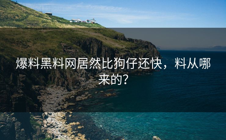 爆料黑料网居然比狗仔还快，料从哪来的？