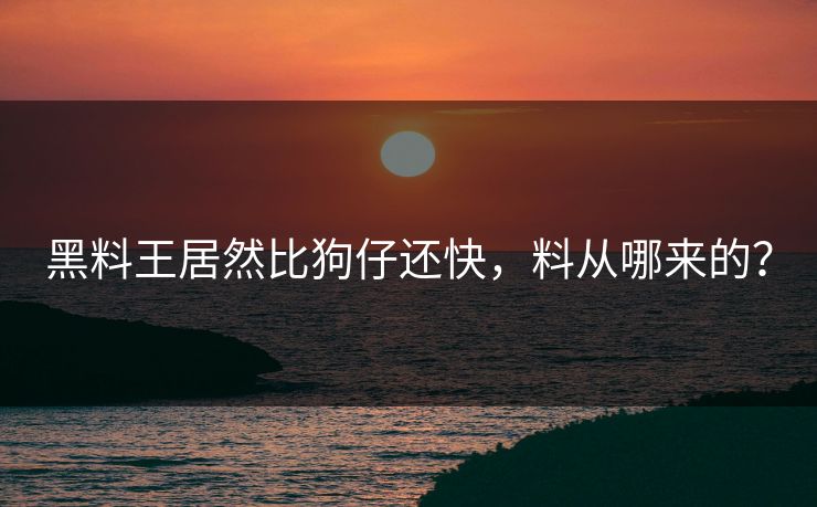 黑料王居然比狗仔还快，料从哪来的？