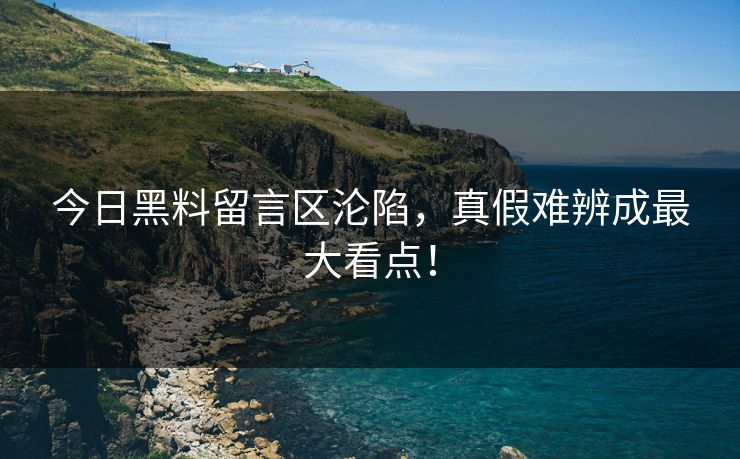 今日黑料留言区沦陷，真假难辨成最大看点！