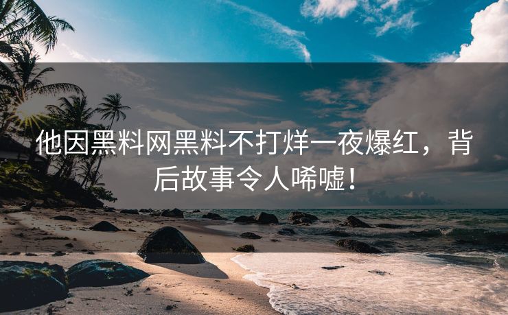 他因黑料网黑料不打烊一夜爆红，背后故事令人唏嘘！