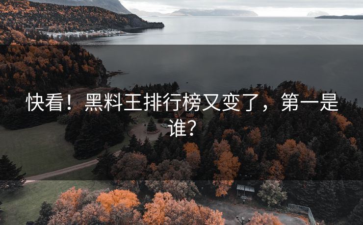 快看！黑料王排行榜又变了，第一是谁？